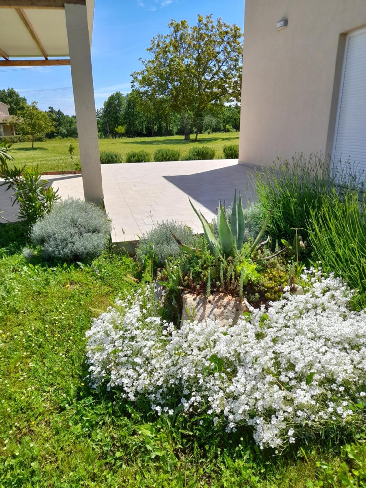 Villa House Carla Belavici Hreljići Exterior foto